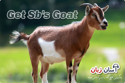 Get Sb's Goat