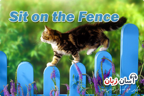 Sit on the Fence